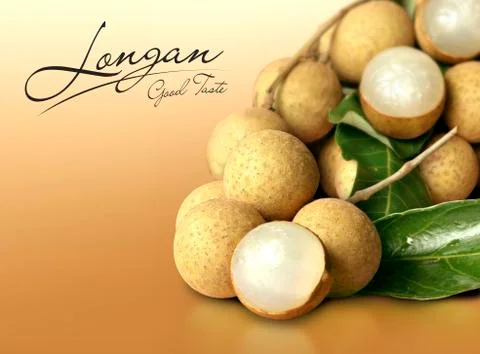 Longan on orange solid background Stock Photos