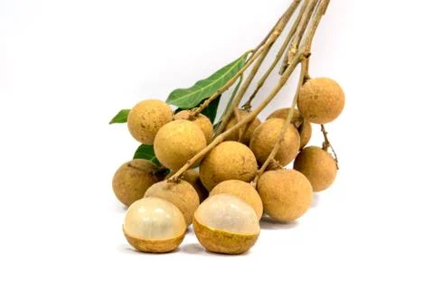 Longan Stock Photos