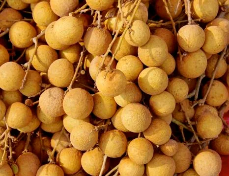 Longan Stock Photos