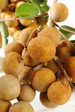 Longan Stock Photos