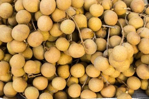 Longan Stock Photos