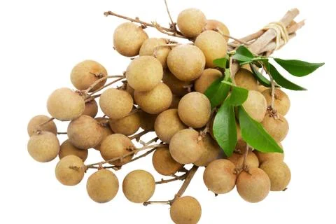 Longan Stock Photos