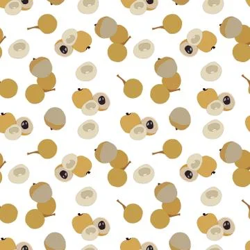 Longan seamless pattern on white color. longan fruit and slices with seeds Stock Illustration