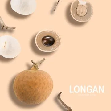 Longan shell casing,Longan on white background Stock Photos