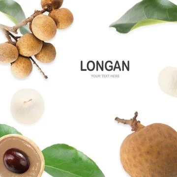 Longan shell casing,Longan on white background Stock Photos