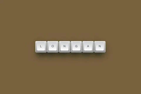 Longan text on a 3d keyboard button with shadow concept series 스톡 일러스트