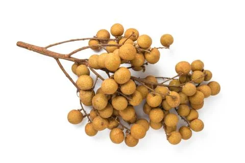 Longan on white background Foto stock