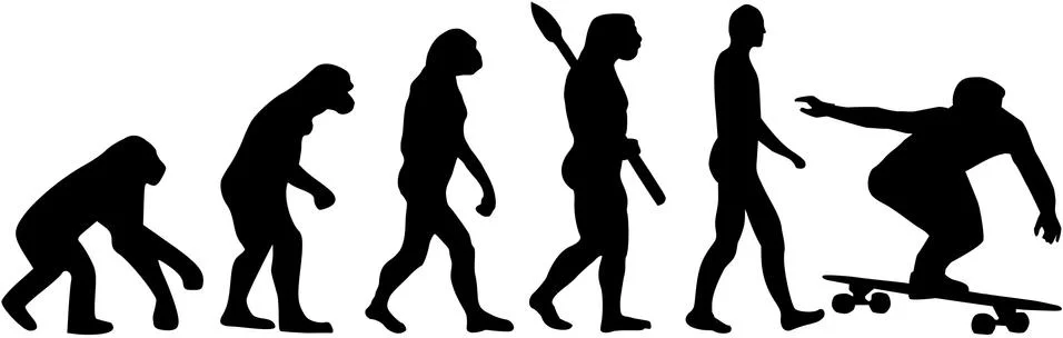 Longboard evolution Stock Illustration