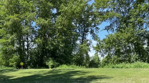 Longboard at the Park Stock Footage 172041377