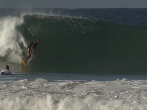 LONGBOARD SURFER ON WAVE IN TROPICS Stock Footage 76584425