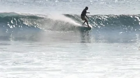 Longboard surfing Stock Footage 11320827