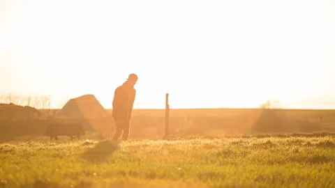 Longboarder side backlight flare gras wide 스톡 동영상 153518021