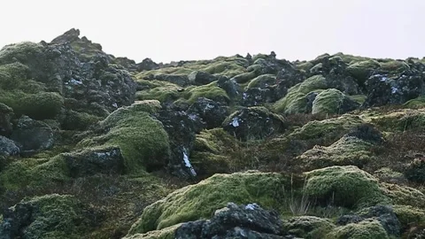 Longboarder walking on a lava field 스톡 동영상 257980996