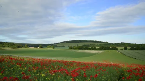 LongDown290613 0025 Stock Footage 25601573