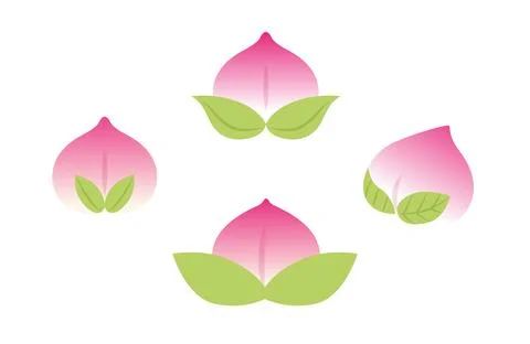 Longevity peach vector asset Stock Illustration