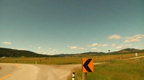 Longhorn cattle Stock Footage 8914124