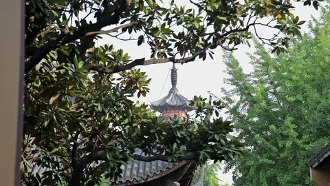 Longhua Temple Shanghai Stock Footage 83833592