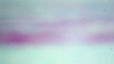 Longitudinal section of the stem of pumpkin under the microscope  Stock Footage 47075660