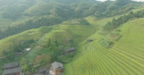 The Longji Rice Terraces Stock Footage 70489253