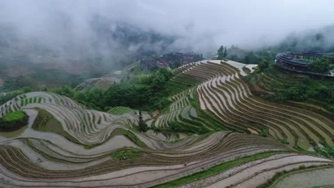 Longji Rice Terraces Stock Footage 169801019
