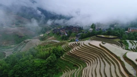 Longji Rice Terraces Stock Footage 169801032