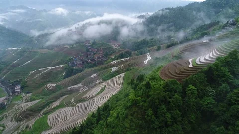 Longji Rice Terraces Stock Footage 169833159