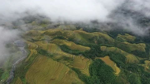 Longji Rice Terraces Video stock 170064779