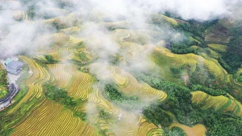 Longji Rice Terraces Stock Footage 170103363