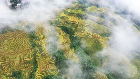 Longji Rice Terraces Video stock 170103528