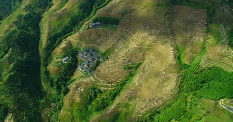 Longji's terraced fields 스톡 동영상 69022270
