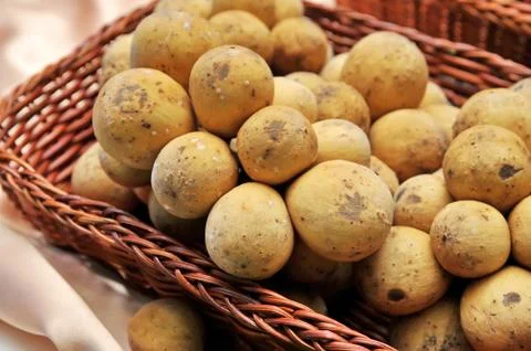 Longkong fruit Stock Photos