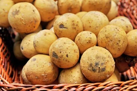 Longkong fruit Stock Photos