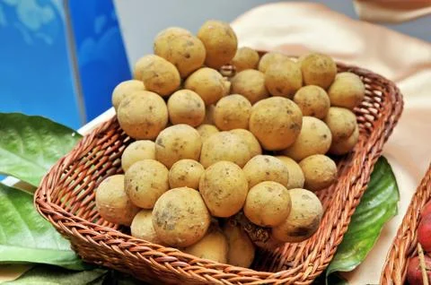 Longkong fruit Stock Photos