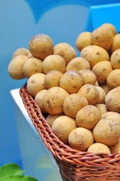 Longkong fruit Stock Photos