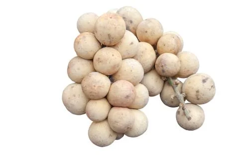 Longkong Stock Photos