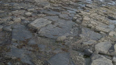 Longniddry Bents, panning down above rocky beach of Seton Sands Vidéo 146649061