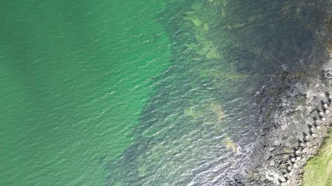 Longniddry Static Drone Top Down Over Water Shoreline with Sea Defences Stock Footage 326769741