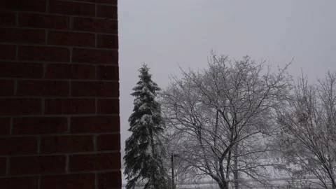 Longshot of heavy snowfall with trees in the background Stock Footage 143753009