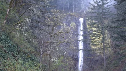 Longshot of Latourell falls 스톡 동영상 88223174