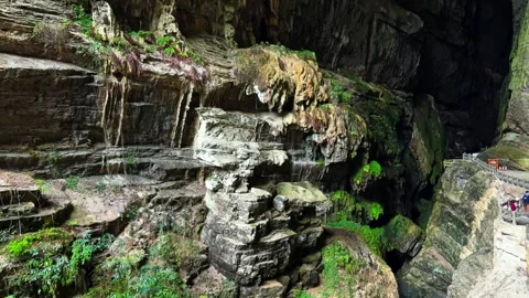 Longshui Gorge Moss Covered Rock Wall - Wulong District - Chongqing - China Stock Footage 339049238