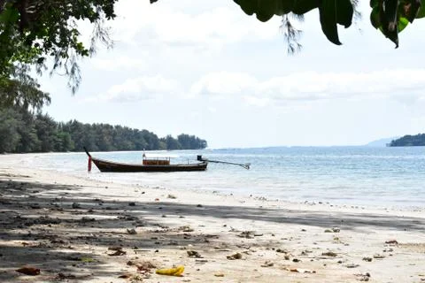 Longtail 库存照片