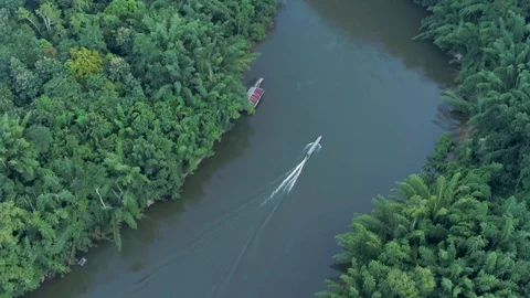 Longtail in the river Stock Footage 122102794