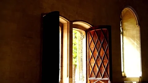 The Lonja de Palma, Old Mercantile building built in Gothic style Stock Footage 192539460