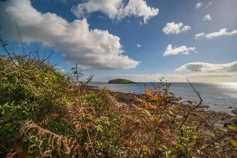 Looe Island viewed from coastal path with autumn foliage and blue sea Fotos Stock