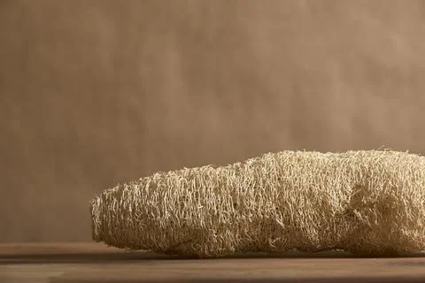 Loofah, biodegradable ecological vegetable sponge. Sustainable lifestyle Stock Photos