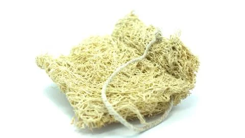 Loofah Stock Photos