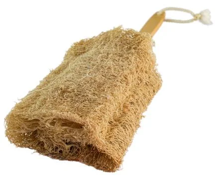 Loofah Stock Photos