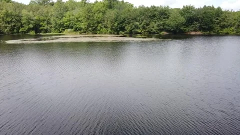 Look Across 库存影片 251053868