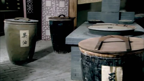 Look around the kitchen Stock Footage 235276819