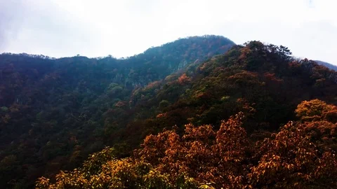 Look around the mountain: Stockbeeldmateriaal 80150548